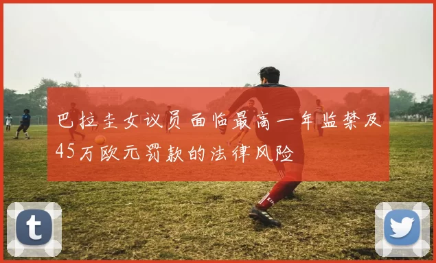 巴拉圭女议员面临最高一年监禁及45万欧元罚款的法律风险