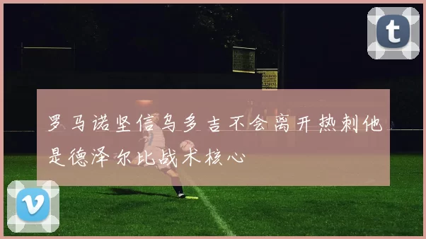 罗马诺坚信乌多吉不会离开热刺他是德泽尔比战术核心